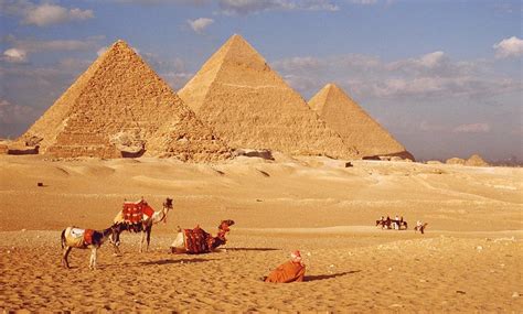 THE TOP 10 Cairo Bus Tours (w/Prices) .